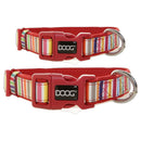 Doog Scooby Candy Striped Dog Collar