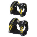 Doog Bolt Neotech Dog Harness