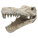 iPetz Croc Skull Reptile Accessory