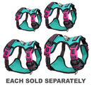 Doog Rin Tin Tin Neotech Dog Harness