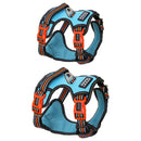 Doog Beethoven Neotech Dog Harness