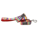 Doog Scooby Candy Striped Dog Lead