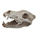 iPetz Ornament Wolf Skull (12x14x14cm)