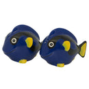 Dakota Cartoon Salt & Pepper Set (Blue Tang)