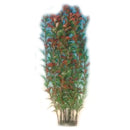 Plastic Plant Bush (Xlarge)