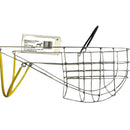 Greyhound Hundemündung