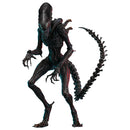 Alien: Romulus Scorched Xenomorph 1:6 Scale Action Figure