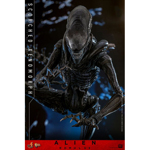 Alien: Romulus Scorched Xenomorph 1:6 Scale Action Figure