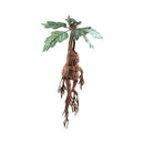 Harry Potter Mandrake Electronic Collector Plush
