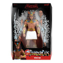 Thundercats Wizz-Ra Ultimates! Figure