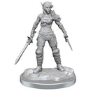 D & D Nolzurs Marvelous Elf Rogue Miniaturure