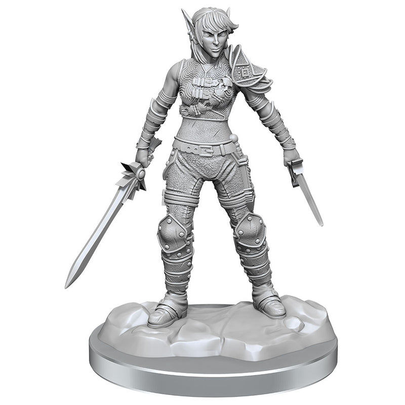 D & D Nolzurs Marvelous Elf Rogue Miniaturure