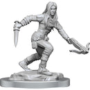 D & D Nolzurs Marvelous Elf Rogue Miniaturure