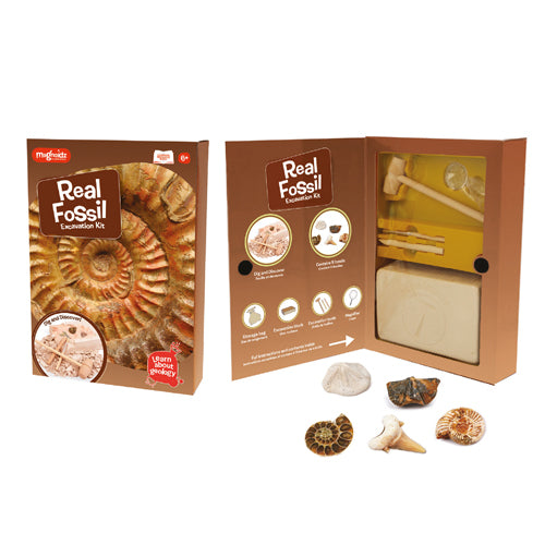 Keycraft Fossil Dig Kit