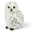 Living Nature Snowy Owl