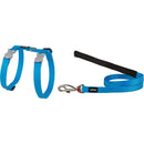 Klassische Kombination aus Katzengeschirr und Leine