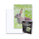 BCW Topload Halter Foto