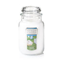 Yankee Candle Classic Großes Glas